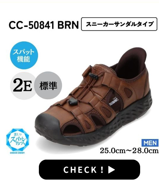 CC-50841 BRN