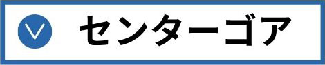 センターゴア