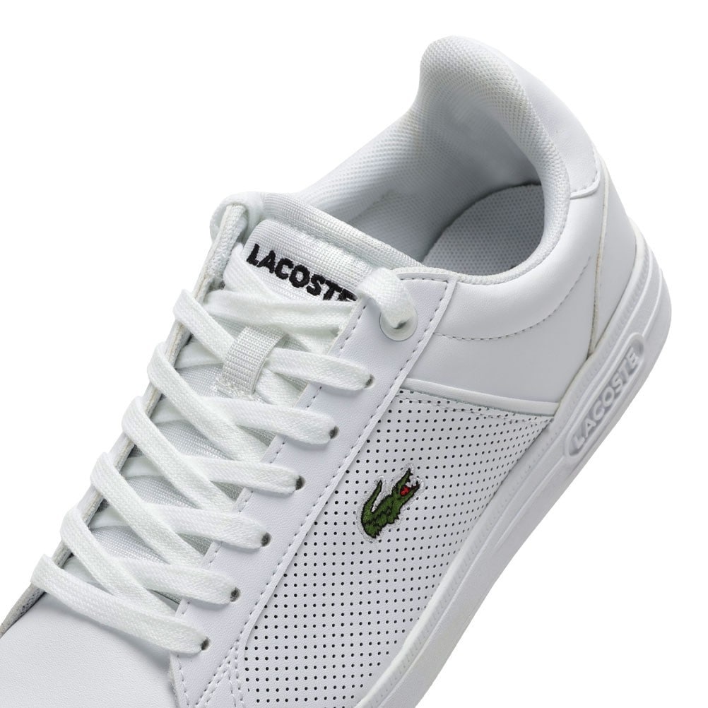 LITE BASE 1 224 1