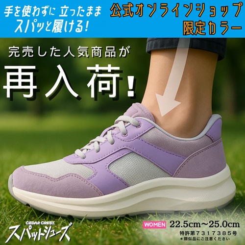 スパットシューズ再入荷 CC-2507